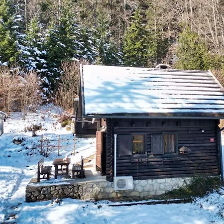 Chalet Slavko Bohinjska Bistrica